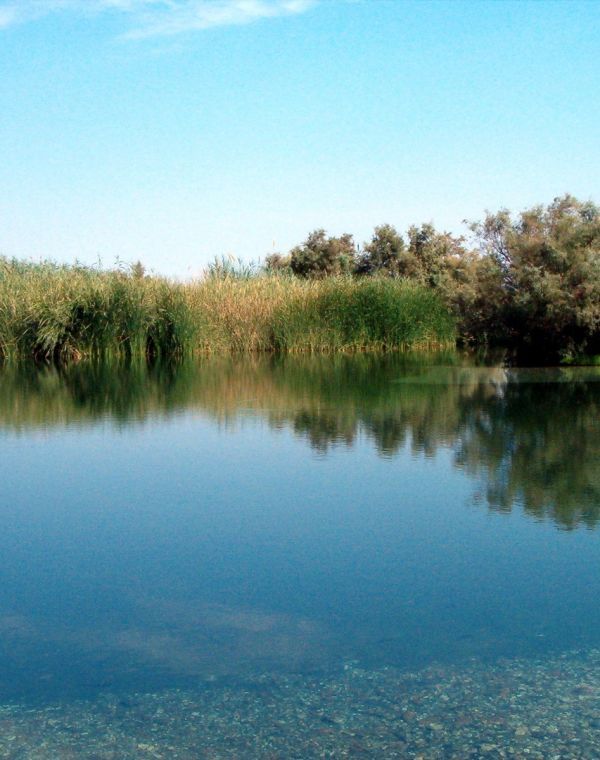 תמונה של עינות צוקים (עין פשחה) וקומראן - למטייל בישראל (טיולי)